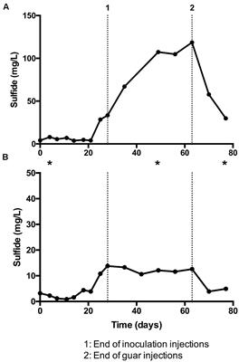 Guar Gum Stimulates Biogenic Sulfide Production at Elevated Pressures: Implications for Shale Gas Extraction